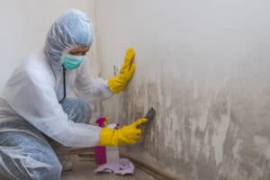 Mold removal