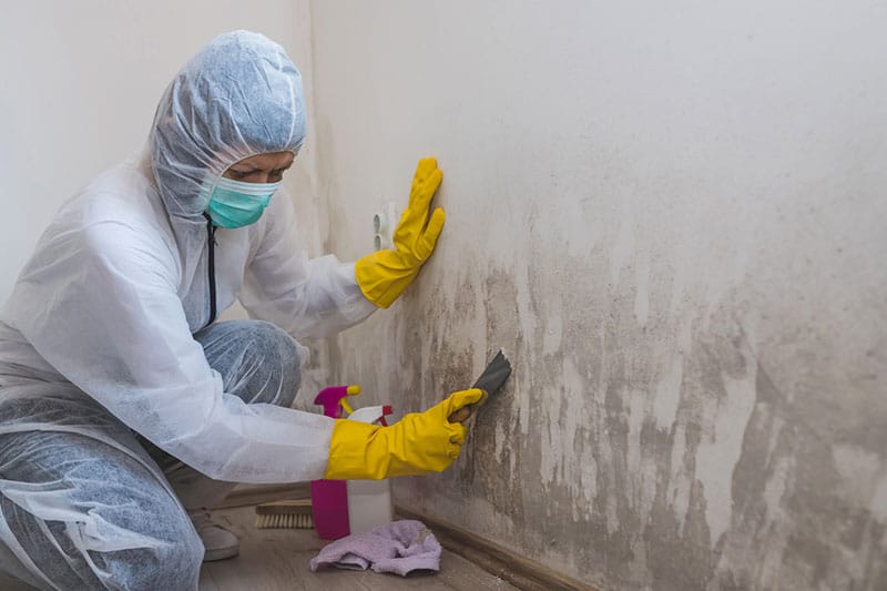 Black Mold Removal